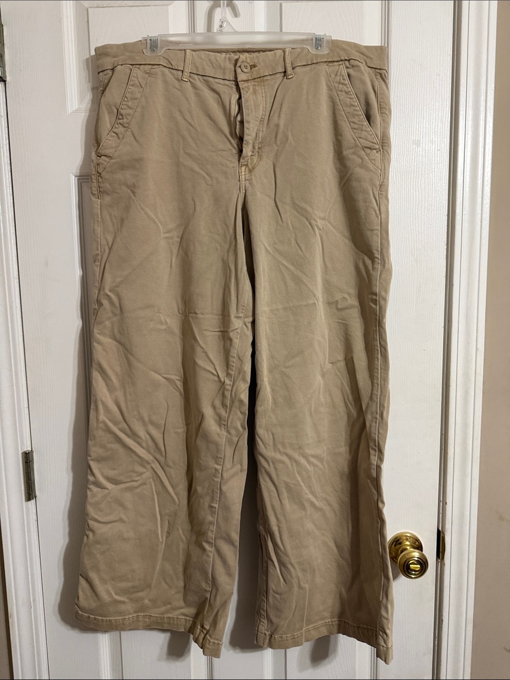 American Eagle Outfitters Tan Trouser